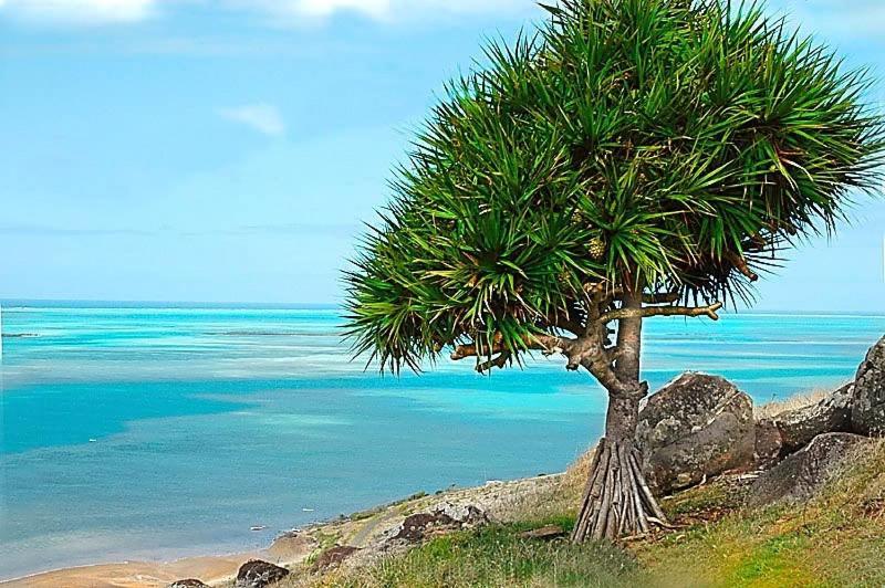 L'Heritage - Vue Sur Mer Bambou Exteriér fotografie